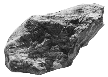Roche Calcaire Wespin